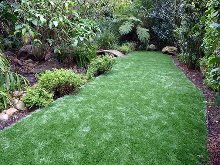 Artificial Lawn Bonita, California Lawns, Backyard Designs