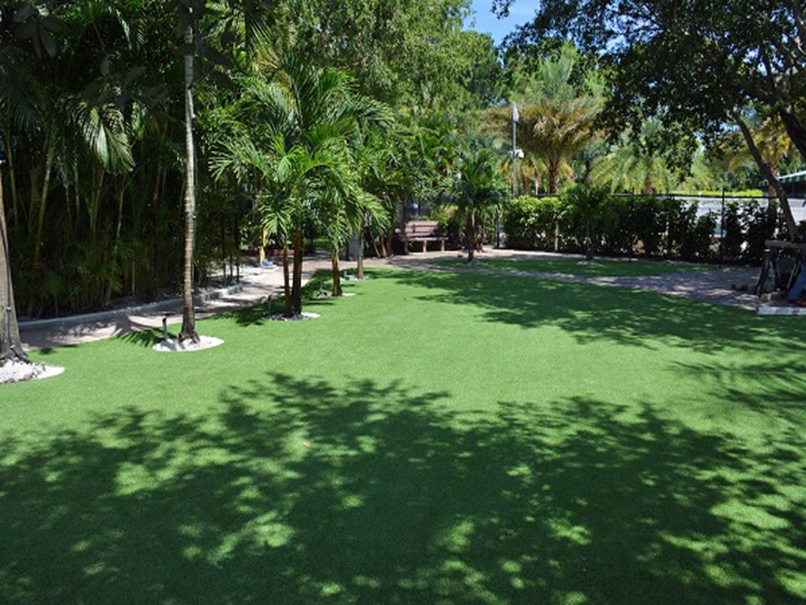 Artificial Lawn Campo, California Rooftop, Commercial Landscape