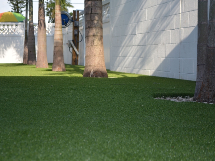 Artificial Lawn Chula Vista, California Landscape Design, Commercial Landscape