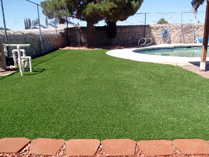 Artificial Lawn Escondido, California Landscape Photos, Swimming Pools