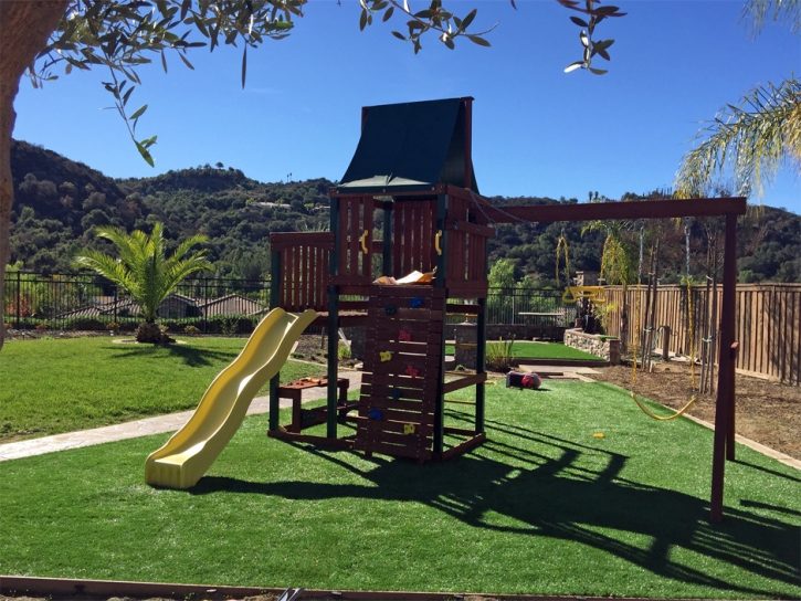 Artificial Lawn Julian, California Garden Ideas