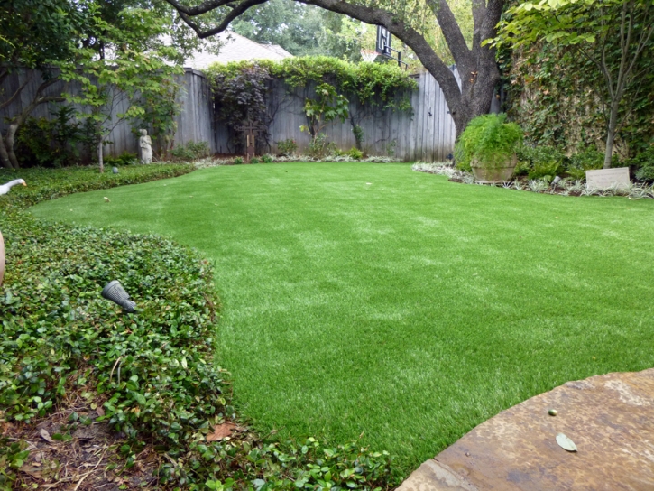 Artificial Lawn Lemon Grove, California Home And Garden, Backyards