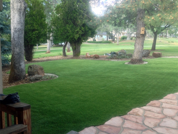Artificial Lawn Vista, California Backyard Playground, Front Yard