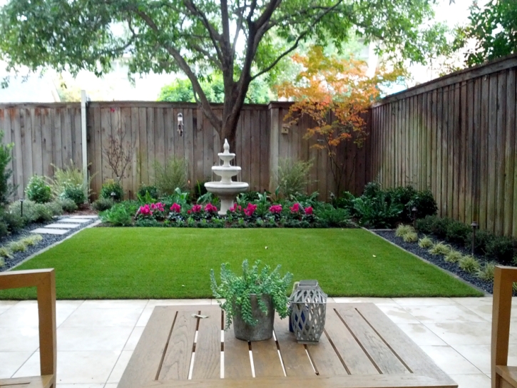 Artificial Turf Borrego Springs, California Garden Ideas, Backyards