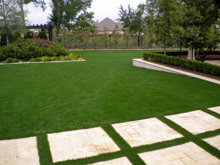 Artificial Turf Camp Pendleton North, California Landscape Design, Backyard Makeover