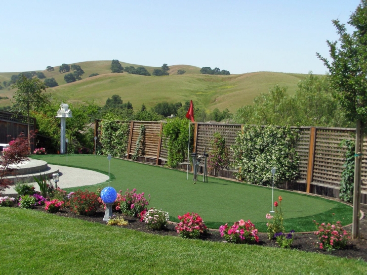 Artificial Turf Camp Pendleton South, California Outdoor Putting Green, Small Backyard Ideas