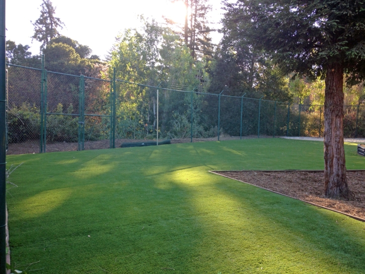 Artificial Turf Coronado, California Playground Flooring, Recreational Areas