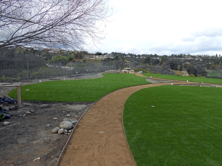 Artificial Turf Cost Bonita, California Backyard Playground