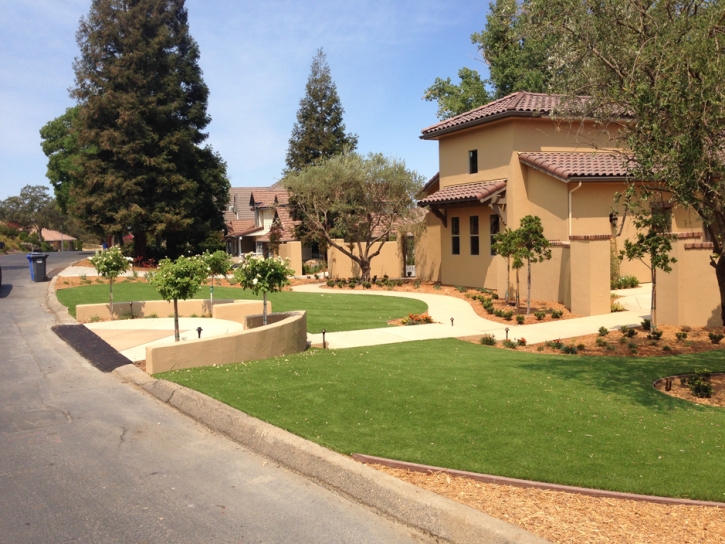 Artificial Turf Cost Bostonia, California Landscape Ideas, Front Yard