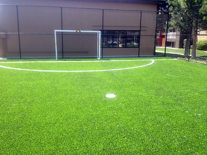 Artificial Turf Cost Descanso, California Landscaping Business