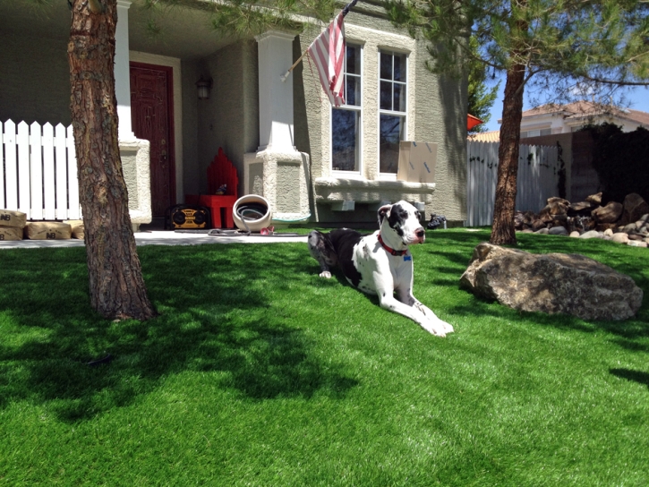 Artificial Turf Cost Hidden Meadows, California Artificial Turf For Dogs, Grass for Dogs