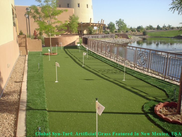 Artificial Turf Cost Imperial Beach, California Putting Green Grass, Backyard Garden Ideas