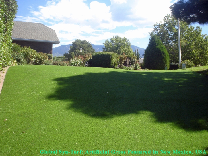 Artificial Turf Cost Lemon Grove, California Lawn And Landscape, Backyard Landscaping