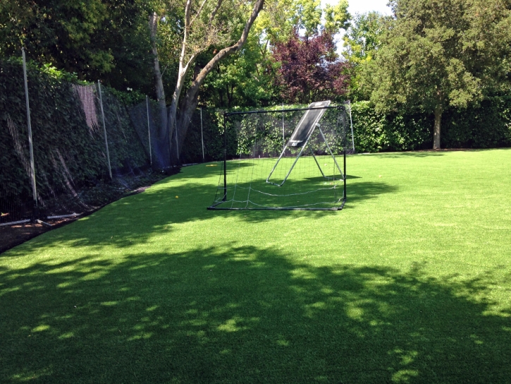 Artificial Turf Cost Solana Beach, California Landscape Design, Backyard Design