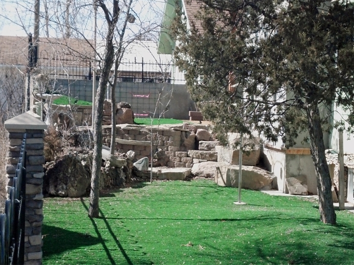 Artificial Turf Del Mar, California Backyard Playground, Beautiful Backyards