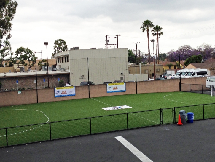 Artificial Turf El Cajon, California Red Turf, Commercial Landscape