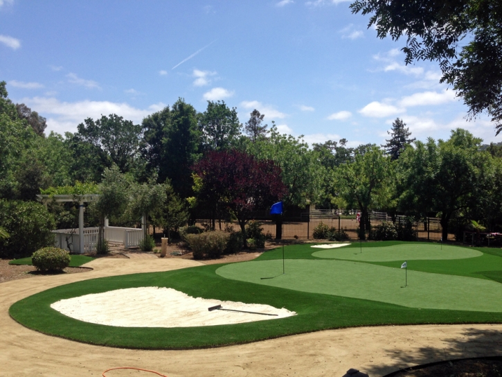 Artificial Turf Installation Boulevard, California Putting Green Grass, Front Yard Design