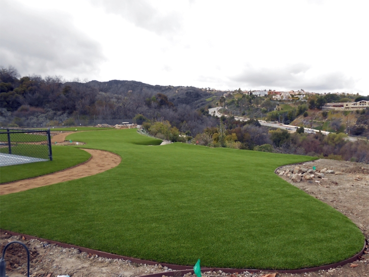 Artificial Turf Installation Granite Hills, California City Landscape
