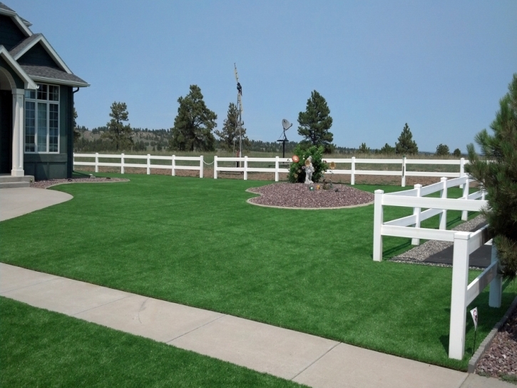 Artificial Turf Installation Pine Valley, California Landscape Ideas, Landscaping Ideas For Front Yard