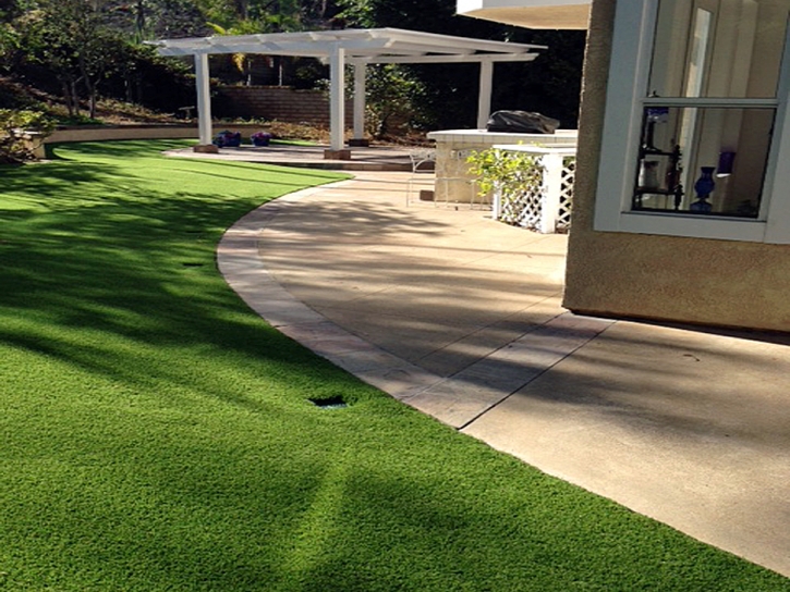 Artificial Turf Jacumba, California Roof Top, Small Front Yard Landscaping