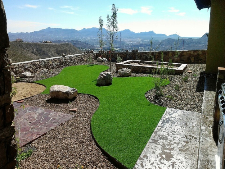 Artificial Turf Lake San Marcos, California Dog Park, Backyard Makeover