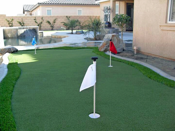 Artificial Turf Lakeside, California Backyard Playground, Backyard Ideas