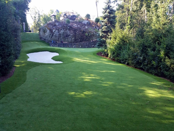 Artificial Turf Lakeside, California Putting Green Flags, Commercial Landscape