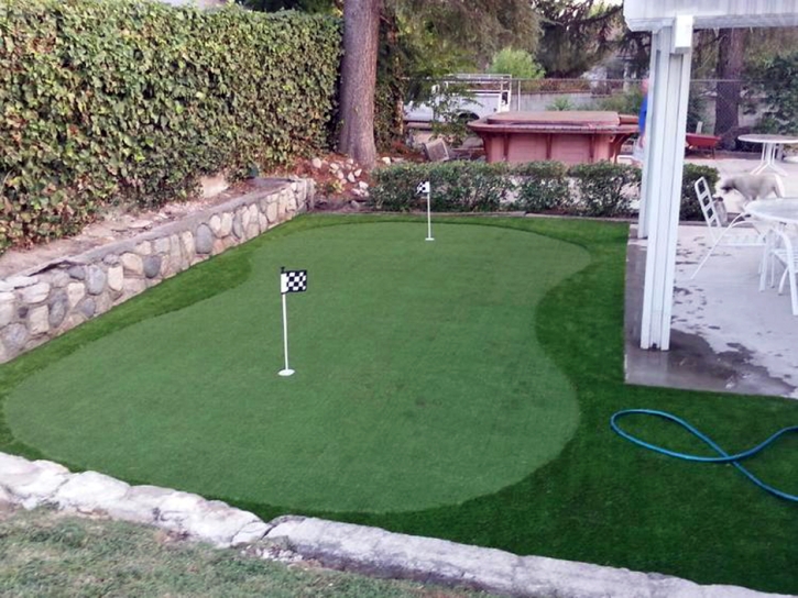 Artificial Turf Ramona, California Garden Ideas, Small Backyard Ideas