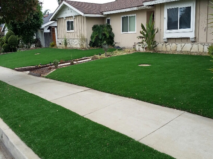 Best Artificial Grass Alpine, California Paver Patio, Small Front Yard Landscaping