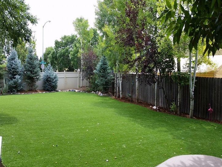 Best Artificial Grass Borrego Springs, California Pet Paradise, Backyard Designs