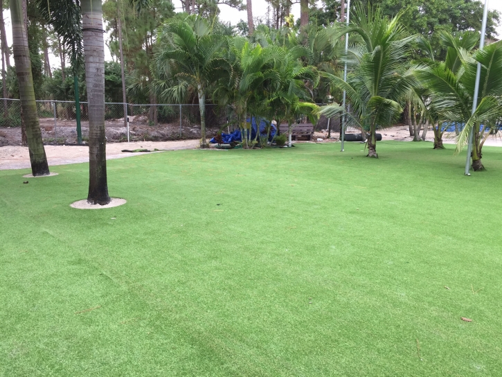Best Artificial Grass Bostonia, California Landscaping, Commercial Landscape
