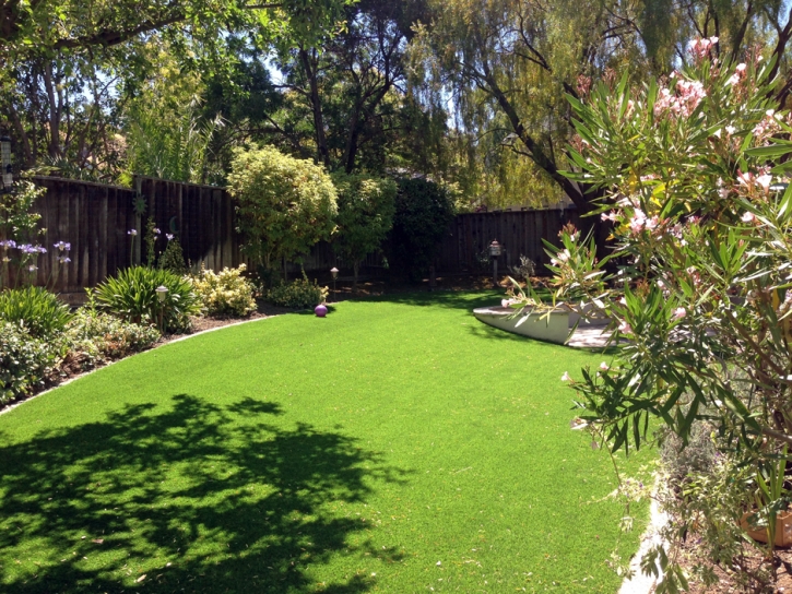 Best Artificial Grass Camp Pendleton South, California Roof Top, Backyard Designs