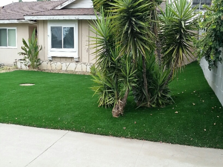 Best Artificial Grass Descanso, California Backyard Playground, Front Yard
