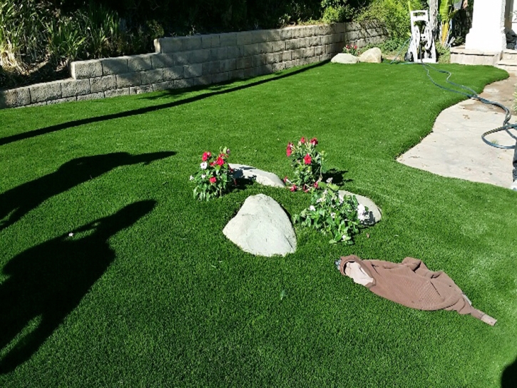 Best Artificial Grass Eucalyptus Hills, California Lawn And Garden, Front Yard Design