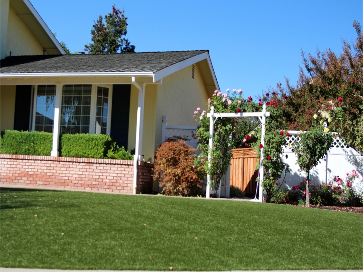 Best Artificial Grass Fairbanks Ranch, California Home And Garden, Small Front Yard Landscaping