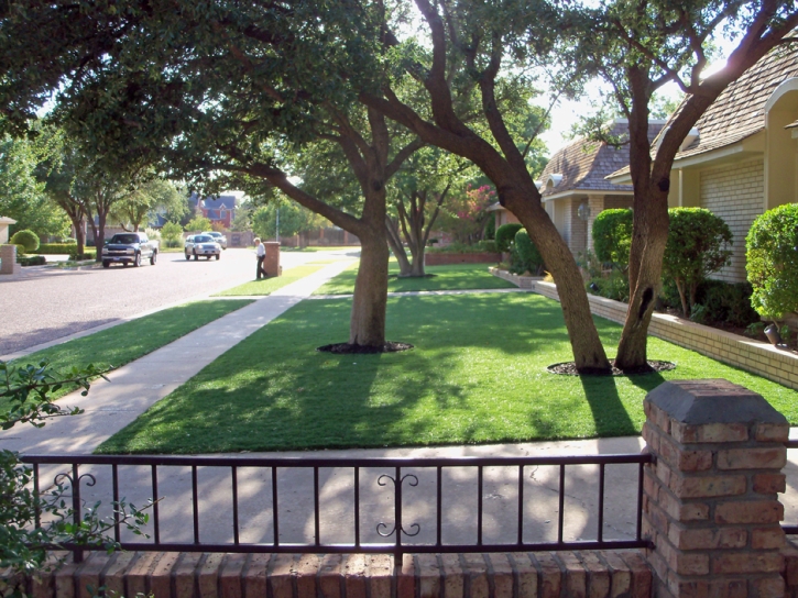 Best Artificial Grass Fallbrook, California Backyard Playground, Front Yard Design