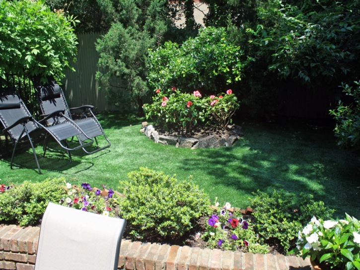 Best Artificial Grass Lakeside, California Design Ideas, Backyards