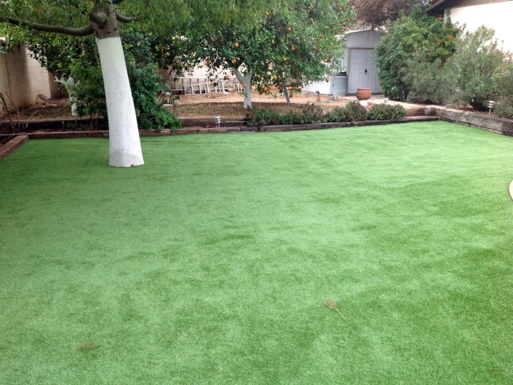 Best Artificial Grass Rancho San Diego, California Backyard Playground, Backyard Ideas