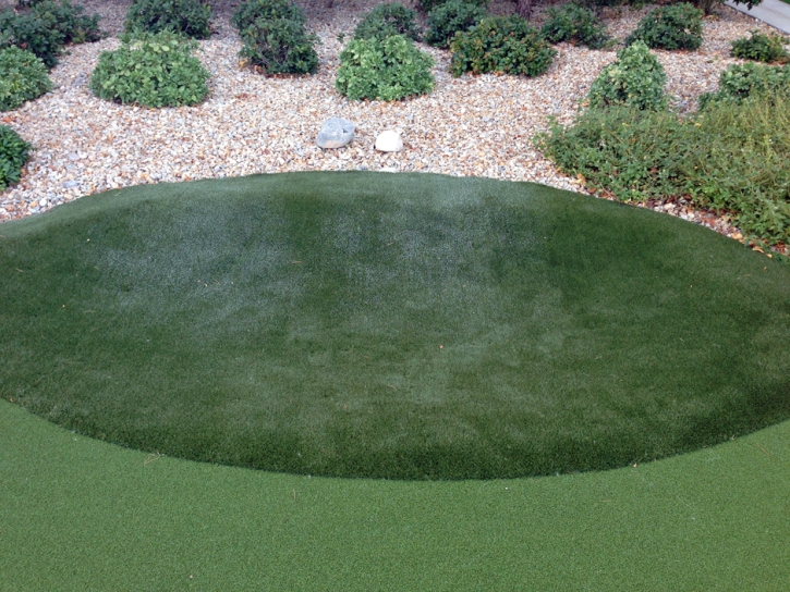 Best Artificial Grass Spring Valley, California How To Build A Putting Green
