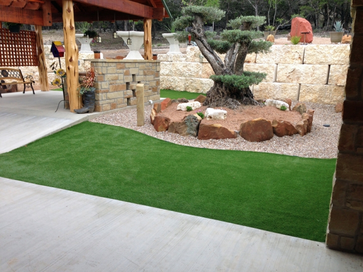 Fake Grass Carpet Bonsall, California Backyard Playground, Backyard Makeover