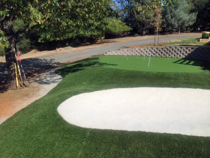 Fake Grass Carpet Boulevard, California Landscape Design, Small Front Yard Landscaping