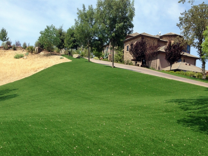 Fake Grass Carpet Casa de Oro-Mount Helix, California Lawns, Landscaping Ideas For Front Yard