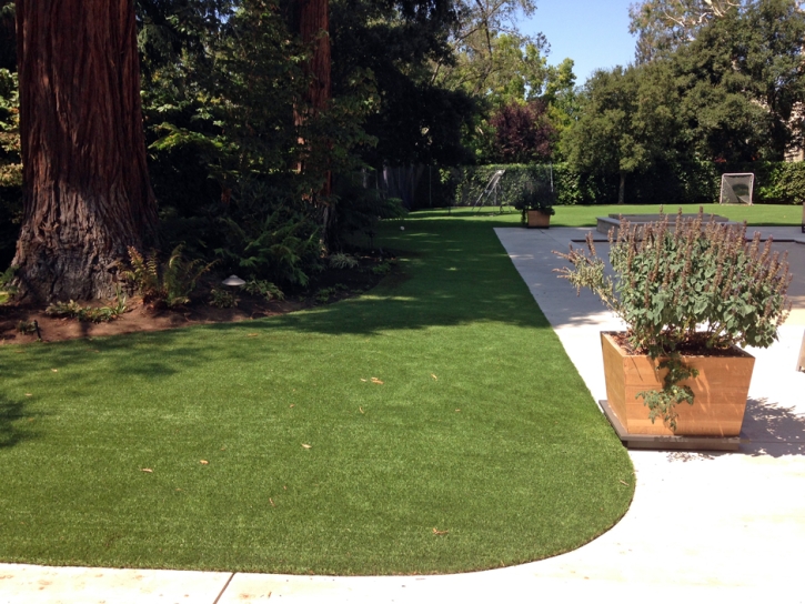 Fake Grass Carpet Del Mar, California Home And Garden, Front Yard Landscaping