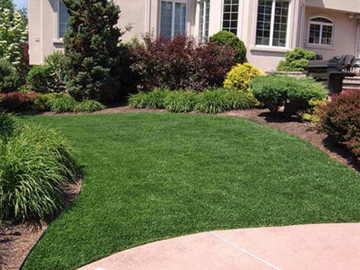 Fake Grass Carpet El Cajon, California Landscaping, Front Yard Ideas
