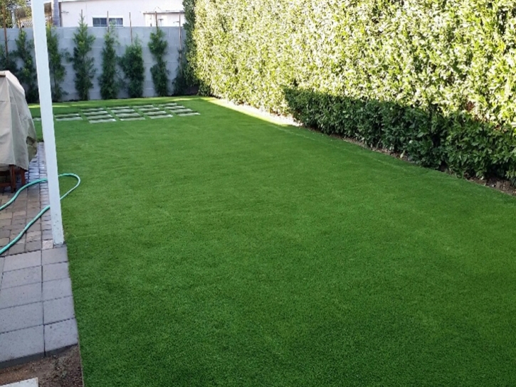 Fake Grass Carpet Encinitas, California Drainage, Backyard Landscaping