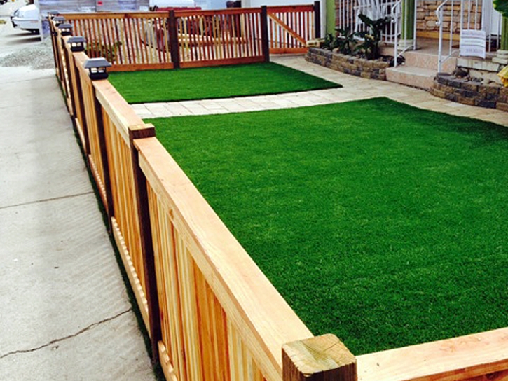 Fake Grass Carpet Fallbrook, California Landscaping, Front Yard Landscape Ideas