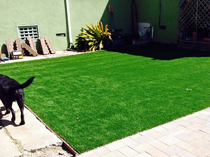 Fake Grass Carpet Jacumba, California Artificial Turf For Dogs, Backyard Designs