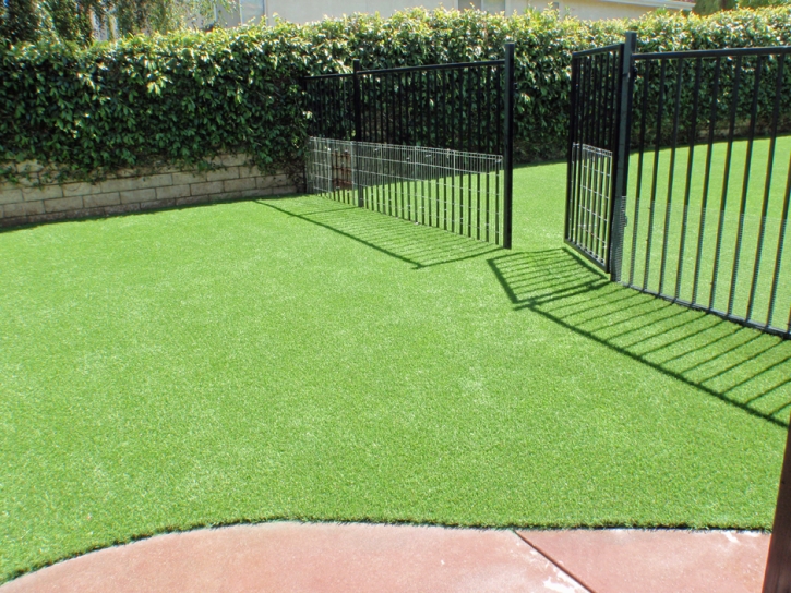 Fake Grass Carpet La Jolla, California Backyard Deck Ideas, Small Front Yard Landscaping