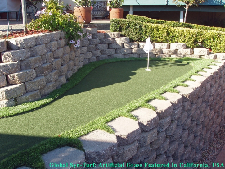 Fake Grass Carpet La Presa, California Indoor Putting Green, Backyard Landscaping
