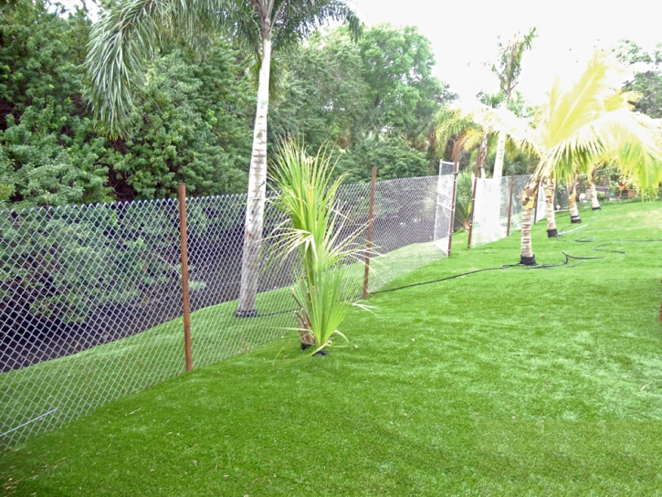 Fake Grass Carpet Lake San Marcos, California Home And Garden, Backyard Landscaping Ideas